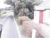 20200916-MOVI0015-frame0005.jpg