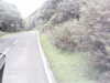 20200916-MOVI0016-frame0001.jpg