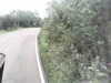 20200916-MOVI0016-frame0003.jpg