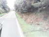 20200916-MOVI0016-frame0004.jpg