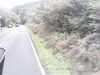 20200916-MOVI0016-frame0005.jpg