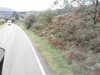 20200916-MOVI0017-frame0002.jpg