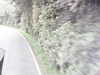 20200916-MOVI0019-frame0001.jpg