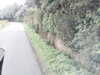 20200916-MOVI0019-frame0002.jpg