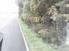 20200916-MOVI0019-frame0003.jpg