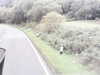 20200916-MOVI0019-frame0004.jpg