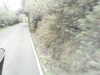 20200916-MOVI0020-frame0002.jpg