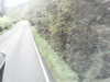 20200916-MOVI0020-frame0003.jpg