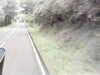 20200916-MOVI0020-frame0004.jpg