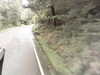 20200916-MOVI0021-frame0001.jpg