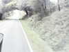 20200916-MOVI0021-frame0005.jpg