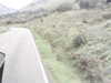20200916-MOVI0023-frame0001.jpg