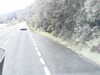 20200916-MOVI0029-frame0001.jpg
