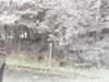 20200916-MOVI0031-frame0002.jpg
