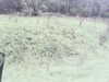 20200916-MOVI0031-frame0003.jpg