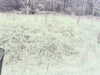 20200916-MOVI0032-frame0001.jpg