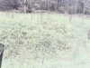 20200916-MOVI0032-frame0002.jpg