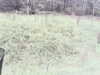 20200916-MOVI0032-frame0003.jpg