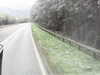 20200916-MOVI0033-frame0001.jpg