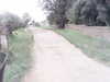 20200916-MOVI0077-frame0004.jpg