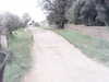 20200916-MOVI0077-frame0005.jpg