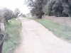20200916-MOVI0078-frame0001.jpg