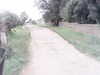 20200916-MOVI0078-frame0002.jpg