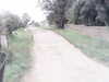 20200916-MOVI0078-frame0003.jpg