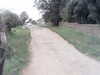 20200916-MOVI0078-frame0005.jpg