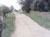 20200916-MOVI0079-frame0001.jpg