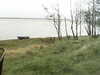 20200916-MOVI0079-frame0002.jpg
