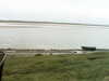 20200916-MOVI0080-frame0002.jpg