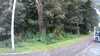 20200916-030812A-frame0004.jpg