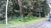 20200916-031312A-frame0001.jpg