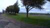 20200916-050539A-frame0002.jpg