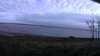 20200916-054039A-frame0005.jpg