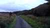 20200916-223733A-frame0004.jpg