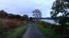 20200916-224233A-frame0005.jpg