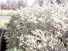 20200917-MOVI0008-frame0003.jpg