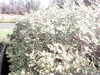 20200917-MOVI0008-frame0005.jpg