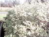 20200917-MOVI0009-frame0002.jpg