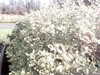 20200917-MOVI0009-frame0003.jpg