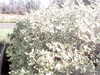 20200917-MOVI0009-frame0004.jpg