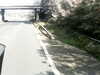 20200917-MOVI0031-frame0003.jpg