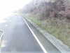 20200917-MOVI0046-frame0002.jpg