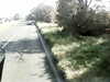 20200917-MOVI0048-frame0004.jpg
