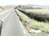 20200917-MOVI0049-frame0001.jpg