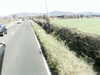 20200917-MOVI0049-frame0002.jpg