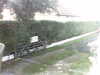 20200917-MOVI0050-frame0001.jpg