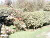 20200917-MOVI0050-frame0002.jpg